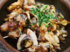 砂锅鱼腩煲-焯明脆肉鲩世家(金沙洲店)