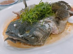 老虎斑-合和美食馆(壹村东心岭2巷店)