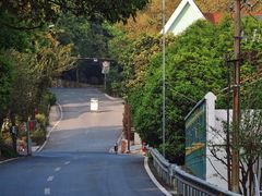 -南山植物园