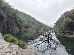 -庐山碧龙潭风景区