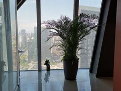 -中央广播电视总台(光华路办公区)