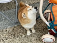 -合景·悠方(成都店)