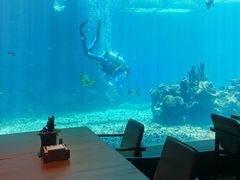 -海棠湾洲际-涛·海底餐厅·美人鱼·自助餐·海底隧道