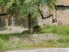 -齐齐哈尔龙沙动植物园