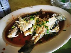 -海鸥岛河景湖大排档