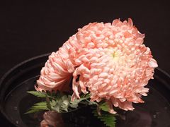 -晓长安·新陕菜(曲江店)