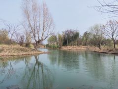 -梁鸿国家湿地公园
