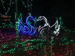 -顺鑫绿色度假村