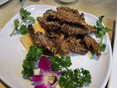 陈皮鸭翅-五邑人家(江门店)