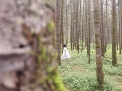 -石棉县孟获城