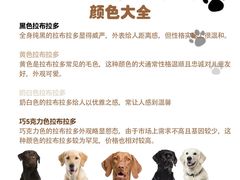 -艾贝尔宠物医院 ·中兽医·宠保定点(北门桥店)