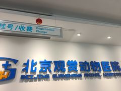 -北京观赏动物医院·24小时大型综合·猫专科·异宠专科