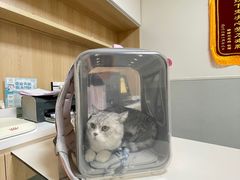 -谐和益家动物医院·免疫绝育·血液透析·宠保定点医院(高新伊藤分院)