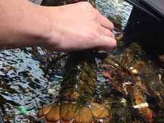 -盒马鲜生(宝地店)