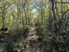 -WeLope紫金山探险公园