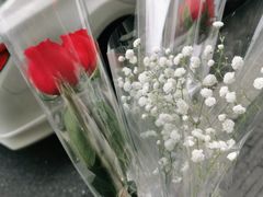 -亭亭鲜花店(中山北路店)