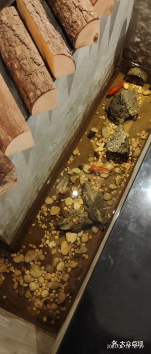 有才叔的小馆(招商依云曲江店)图片