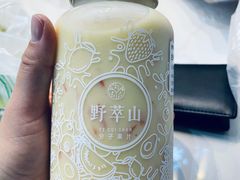 -野萃山·潮汕厚果汁(十亩地店)