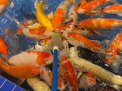 -昆明大悦城未来动物城(螺蛳湾中心店)