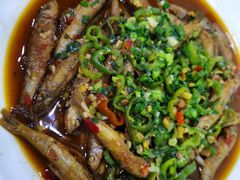 -全乐鱼馆·淳牌有机鱼直营店