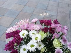 -爱尚幸福鲜花(上地实体店)