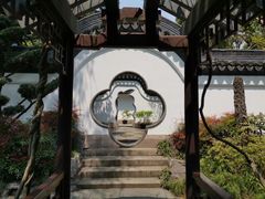 -嘉定紫藤园