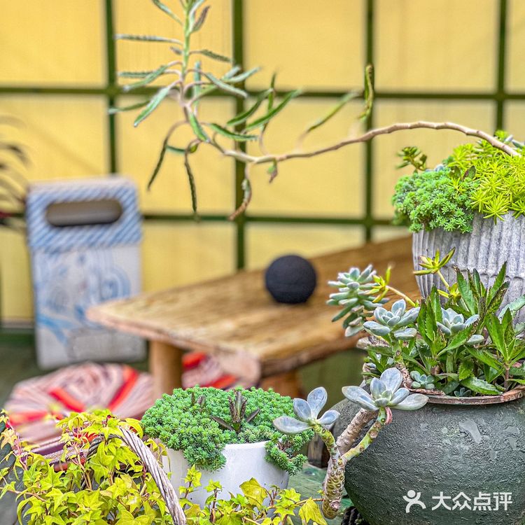 今天就解锁一家隐藏在东门的宝藏泰式料理专门店