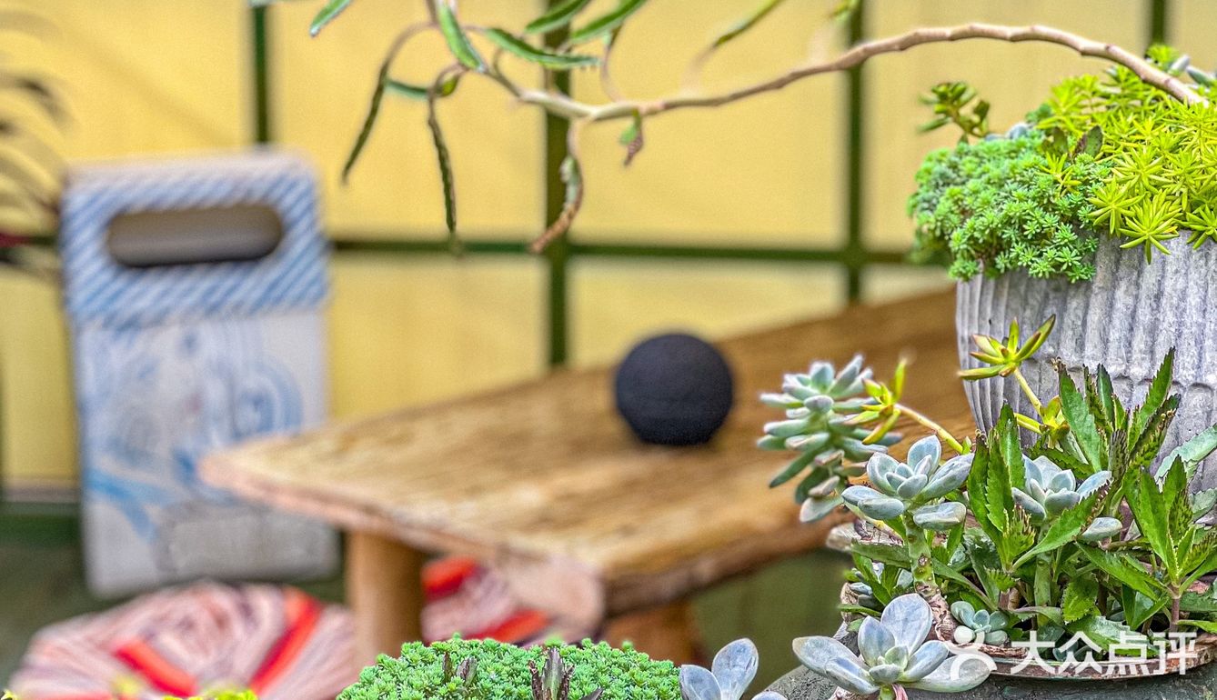 今天就解锁一家隐藏在东门的宝藏泰式料理专门店