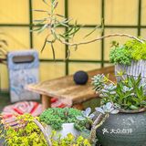 今天就解锁一家隐藏在东门的宝藏泰式料理专门店