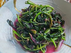-阿巧茶庄