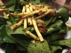 折耳根-云海肴·汽锅鸡·云南菜(天津国金汇店)