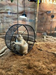 -Zoolung Zoolung动物主题公园(海信广场店)