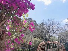 -布里斯班南岸公园