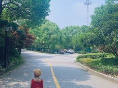 -白马涧龙池景区