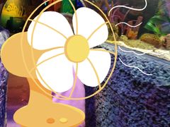 -沈阳海洋探索中心