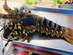 -海味世家·家常菜馆(明州里店)