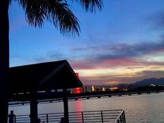 -厦门园林博览苑