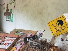 -大象粑粑造纸公园