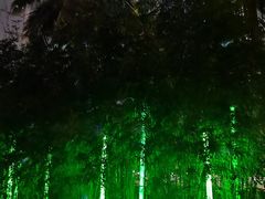 -万绿园