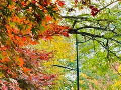 -阿里中心·杭州Z空间