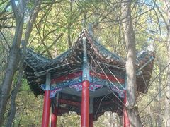 -吉林市朱雀山国家森林公园