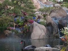 -罗红摄影艺术馆