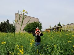 -田园东方蜜桃村的田野营地