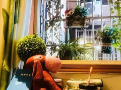 -万小咖.猫咖(中山路天虹店)