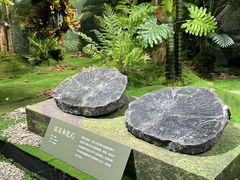 -遇见博物馆(遇见海洋沉浸式奇幻光影展)