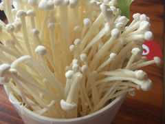 -捞围鲜·港式打边炉(海阳路店)