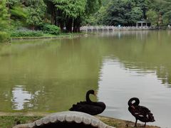 -广州市白云山风景名胜区