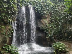 -南山植物园