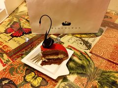 -BLACKSWAN黑天鹅(环球店)