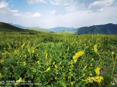 -灵山